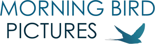 Morning Bird Pictures logo