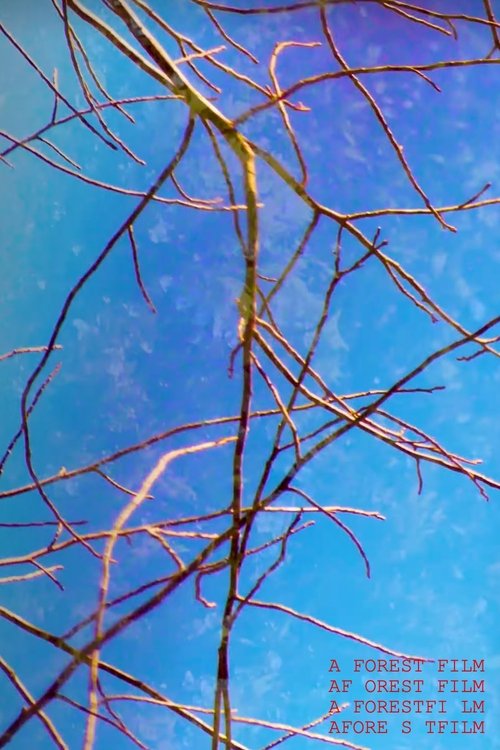 A Forest Film