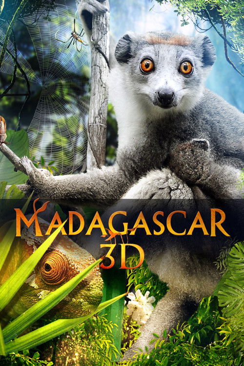 Madagascar 3D poster