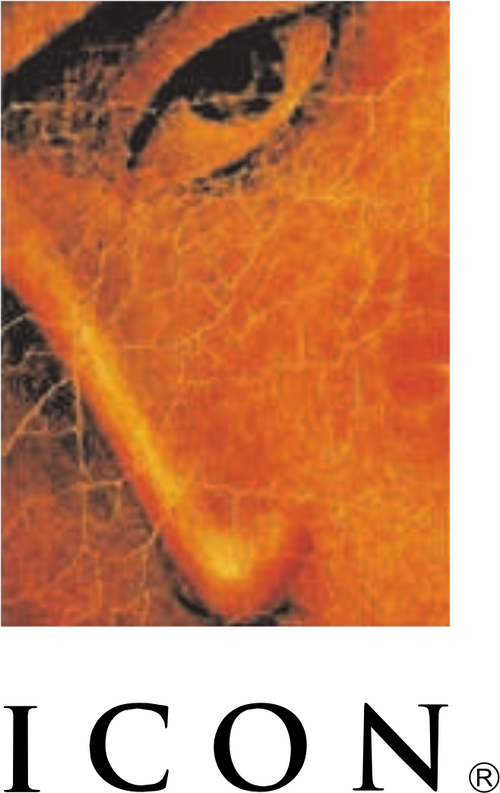 Icon Entertainment International logo