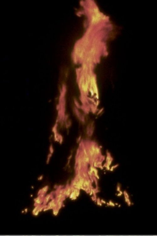 Untitled: 'Silueta' Sequence No. 2