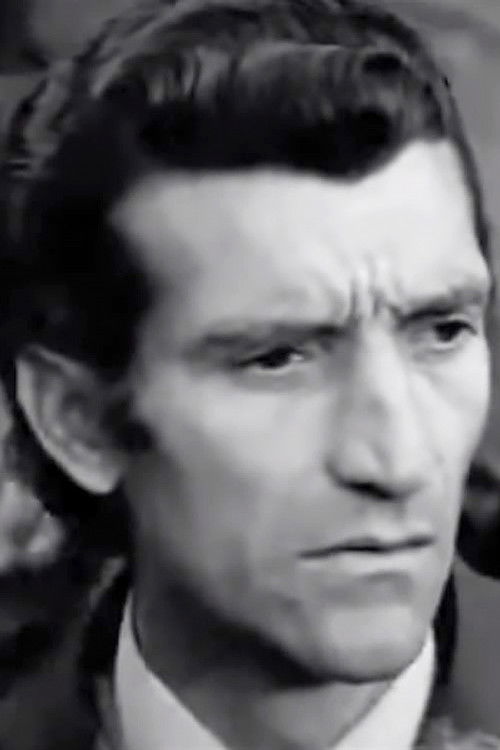 Nikos Spyridonakos as 