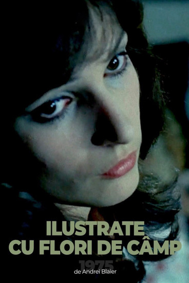 Postcards with Wildflowers