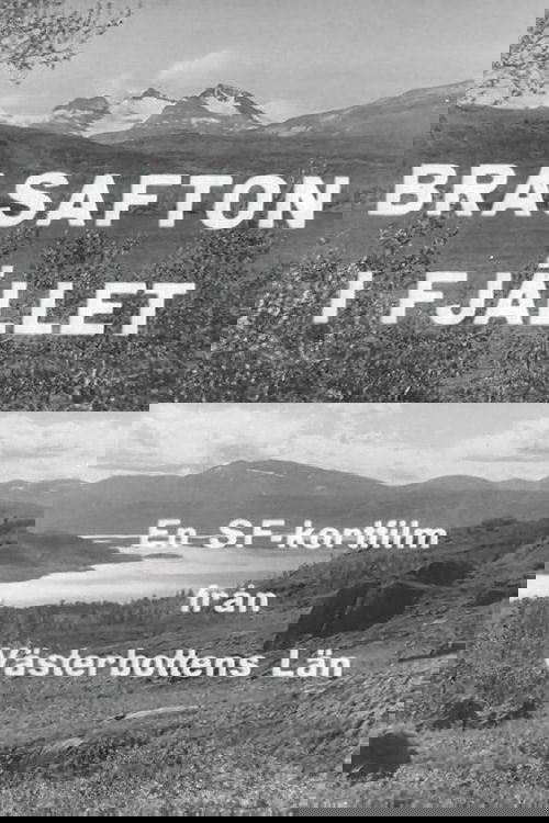 Bonfire Evening in the Mountains