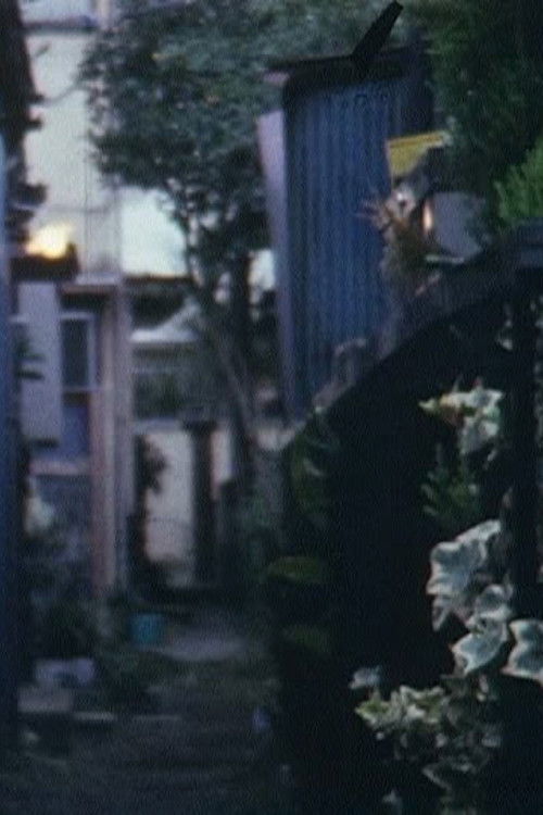 Cat on the tin roof poster