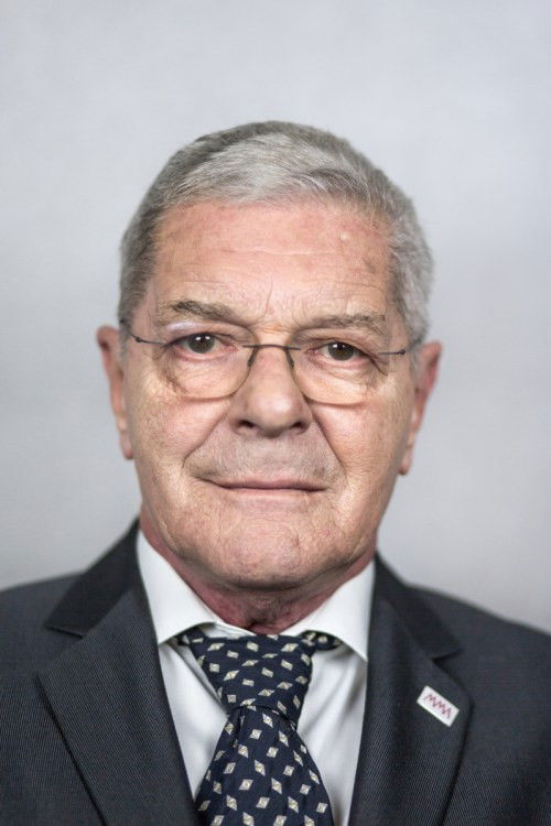 Károly Mécs as Orvos