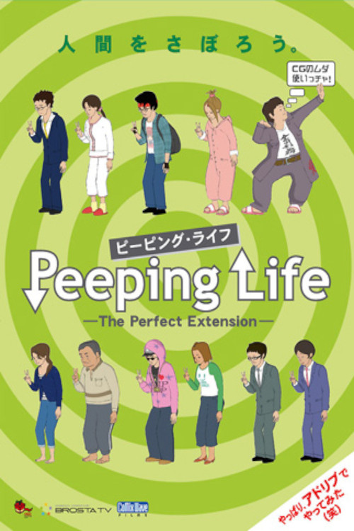 The Perfect Extension