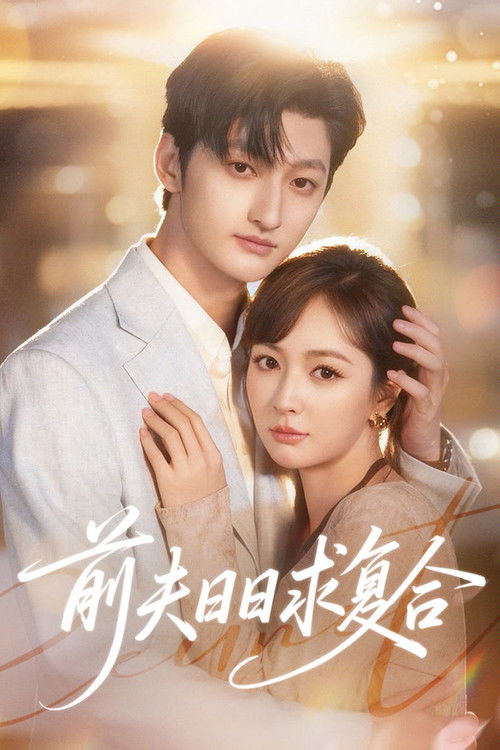前夫日日求复合