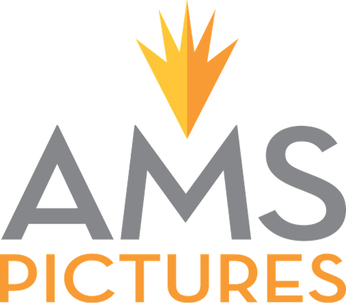 AMS Pictures logo