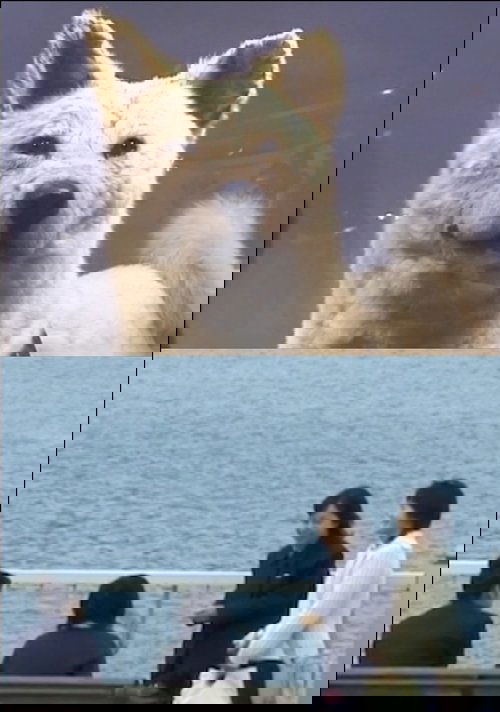 I Have No Memory of My Direction