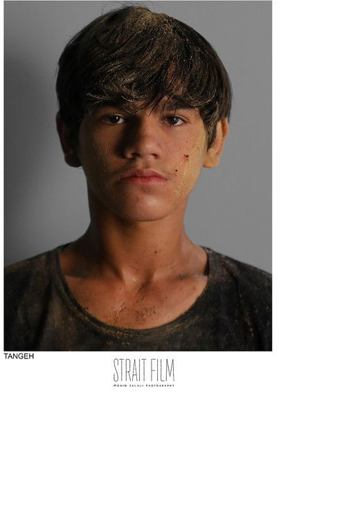 Sina Ebrahimi as Ahmad