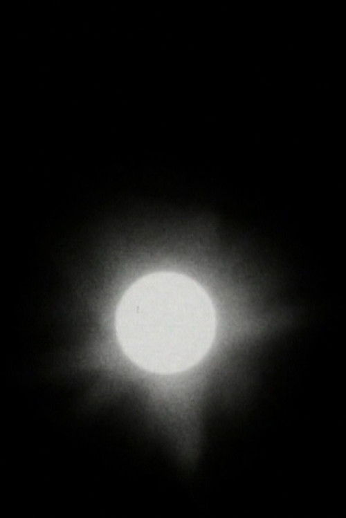 The Transit of Venus poster