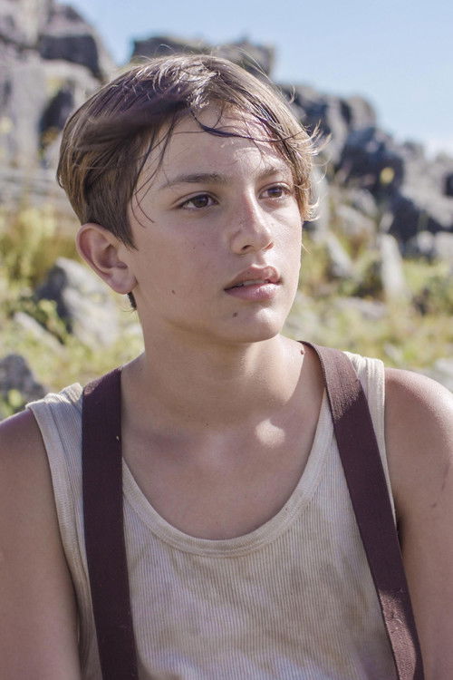 Manuel Figueiro as Franz