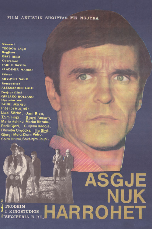 Nothing is Forgotten