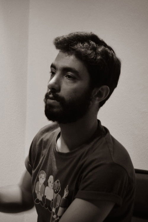 Bashar Abo Assi as The brother