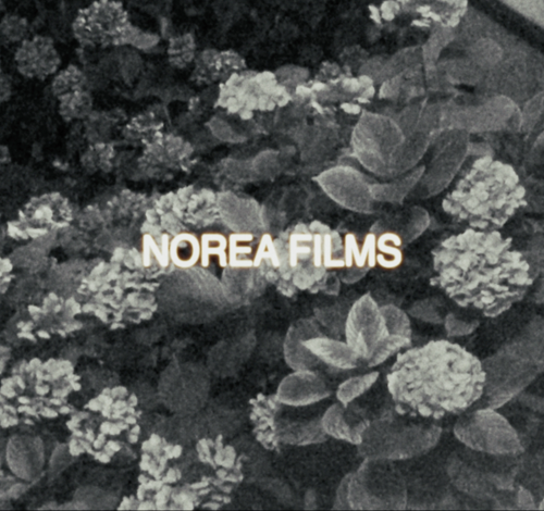 Norea Films logo