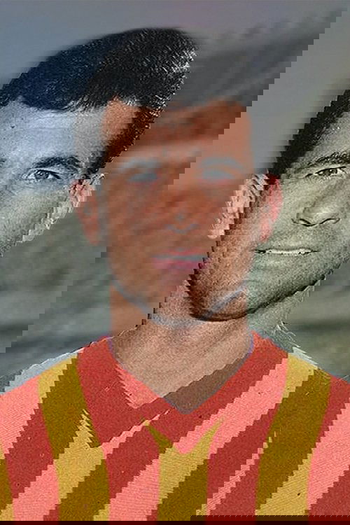 Metin Oktay as Metin Oktay