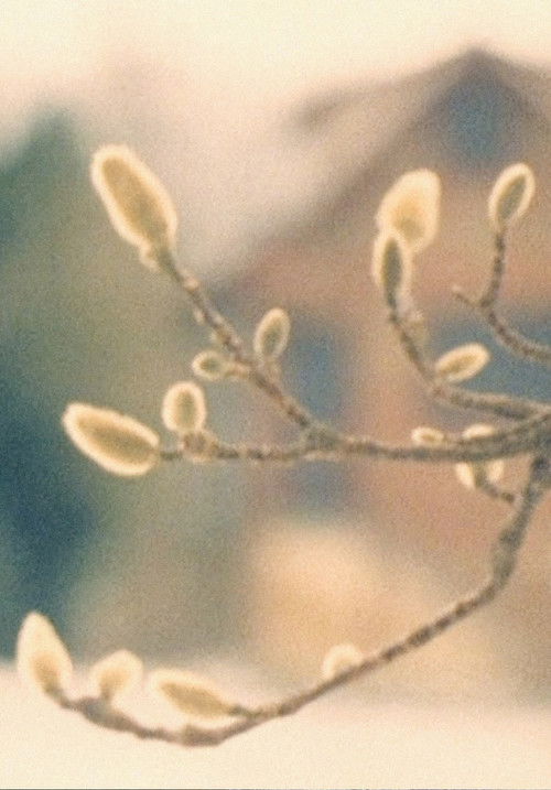 A Walk / Im Park / ZUOZ poster