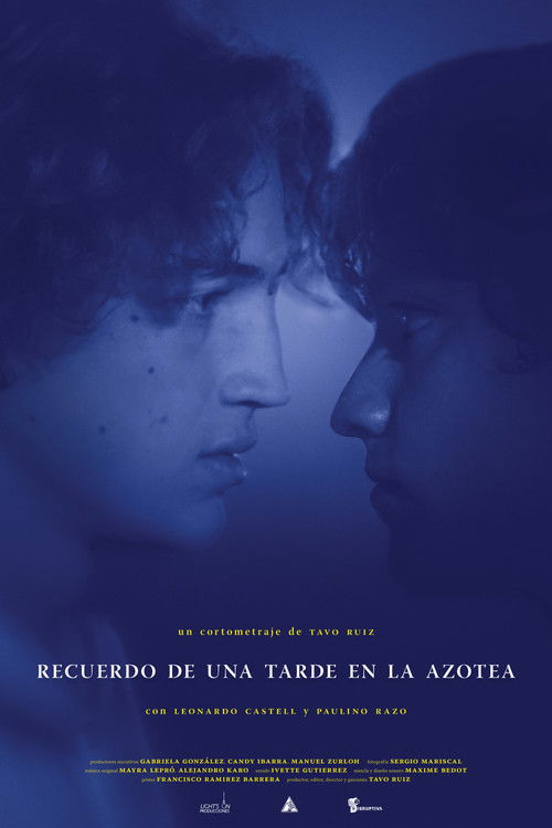 Memory of an Afternoon on the Roof