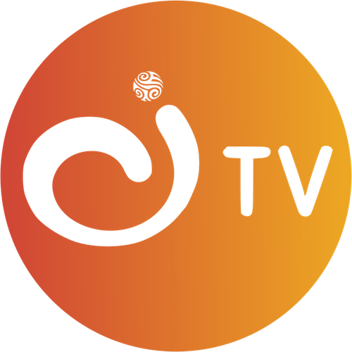 Canal Institucional logo