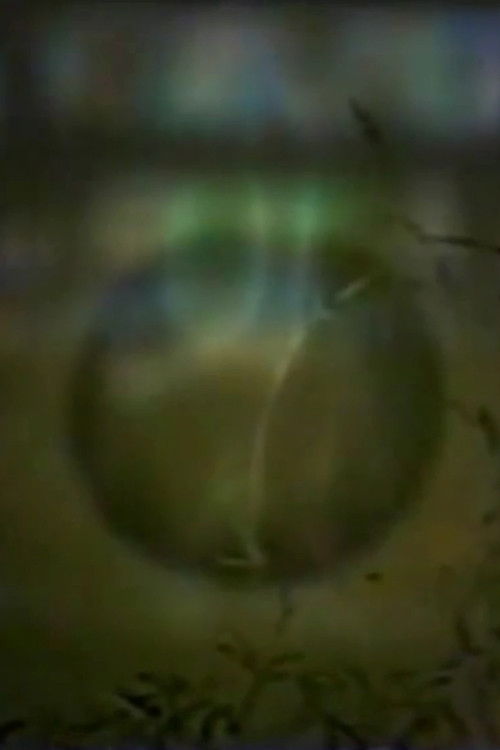 Up to West House Alone