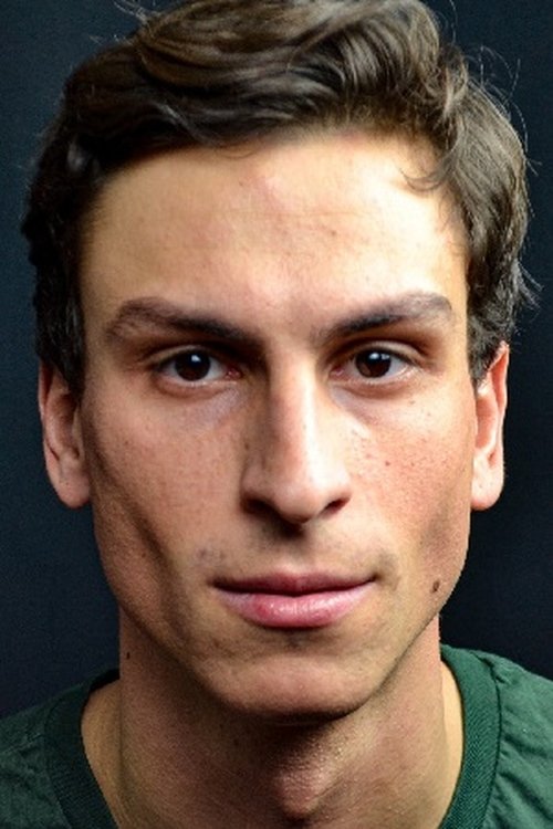 Niccolò Besio as Giornalista