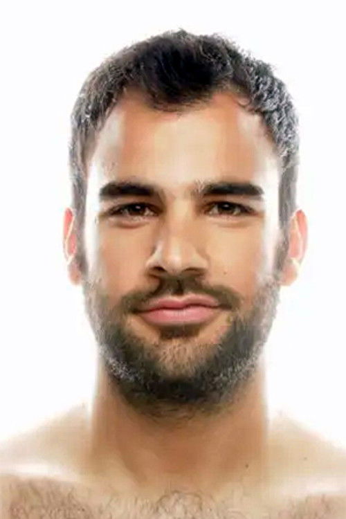 Apostolos Psaros as Alexis Gerokostas