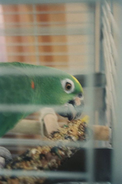 Mr. Meeseeks as Self