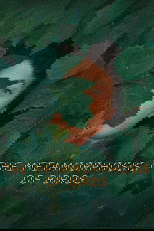 The Metamorphosis of Birds poster