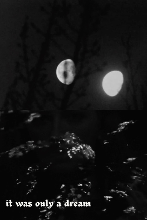 it was only a dream poster