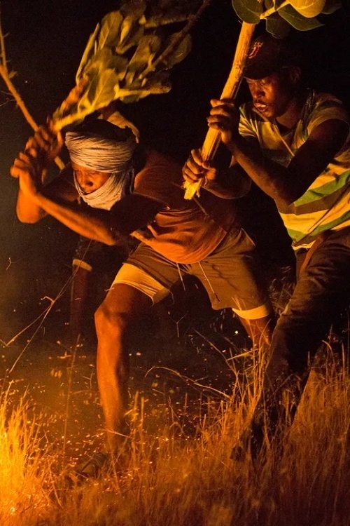 The Fire Brigade poster