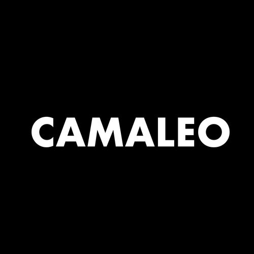 Camaleo Film logo