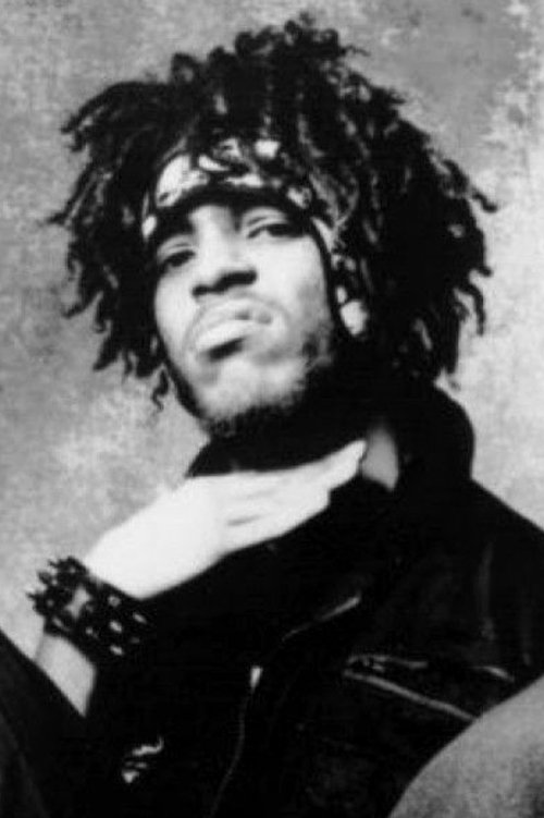 Jamal Simmons as Self