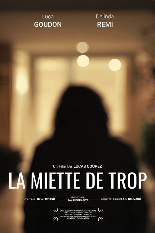 La Miette De Trop