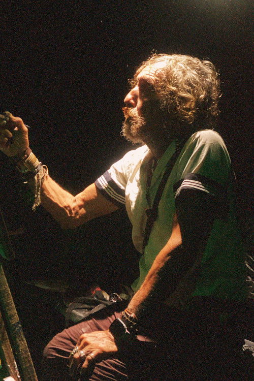 Alejandro Alsina as Self