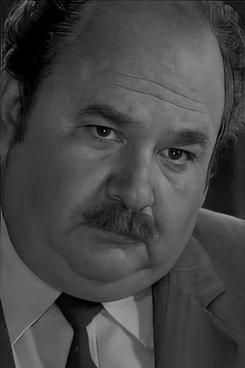 Vladimir Vostrikov as professor