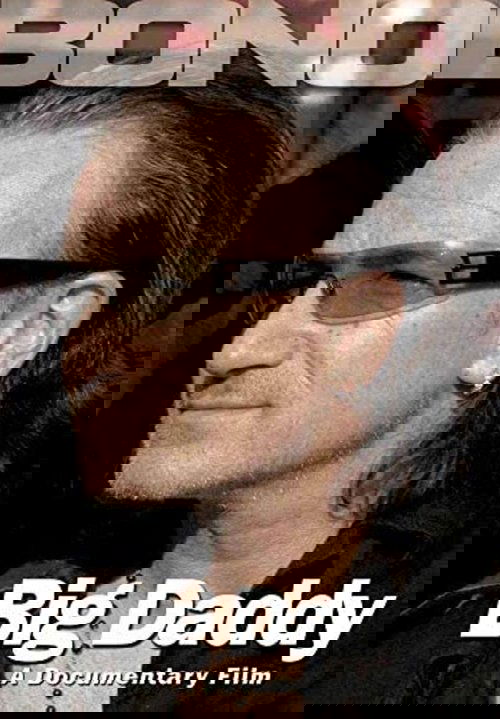 Bono: Big Daddy poster