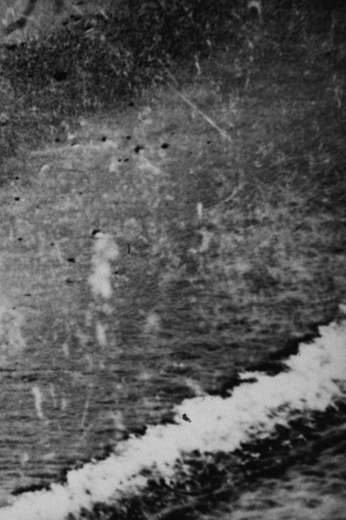 Hidden Objects 12 poster