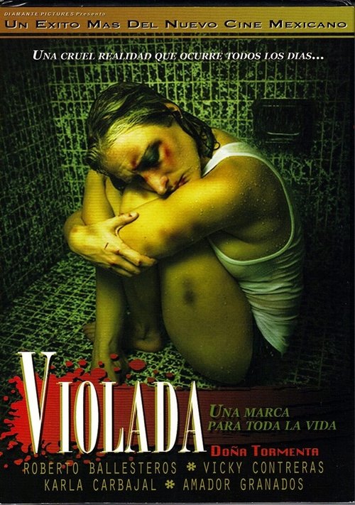 Doña Tormenta poster