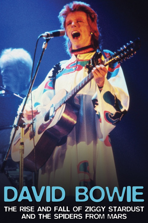 David Bowie: The Rise And Fall of Ziggy Stardust and the Spiders From Mars poster