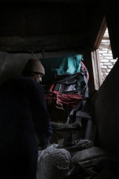 The Cow's Complaint poster