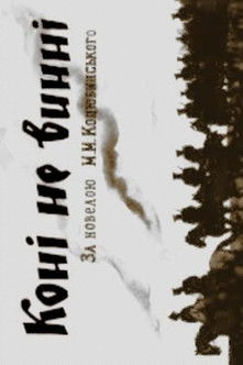 The Horses Are Not Guilty