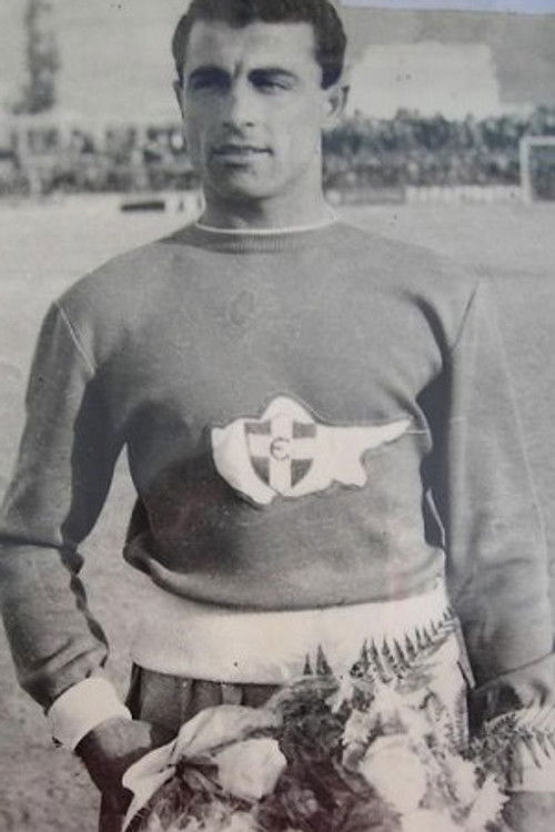 Stathis Mantalozis as Stathis Mantalozis