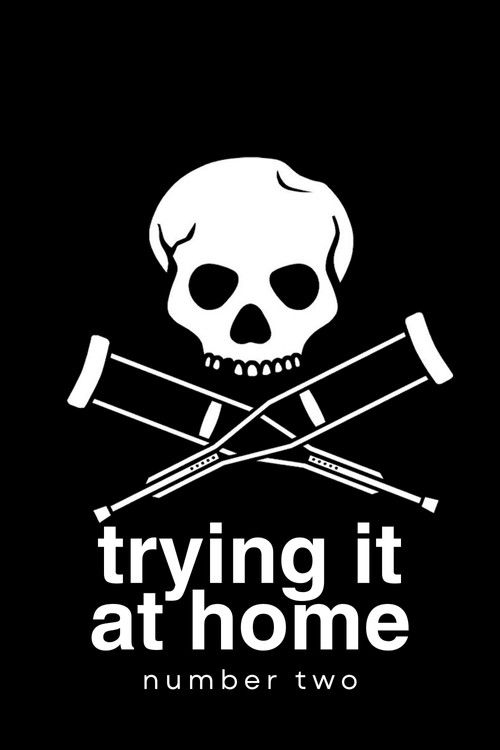 Trying It At Home: Number Two poster