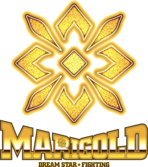 Dream Star★Fighting Marigold logo