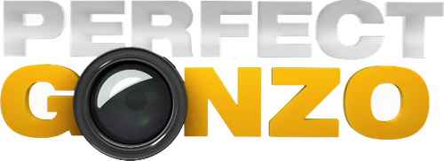 Perfect Gonzo logo