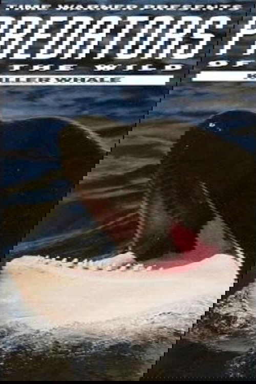 Predators of the Wild: Killer Whale
