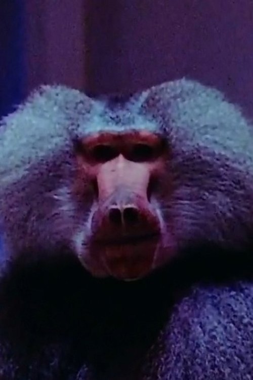 Typhoon as Baboon (uncredited)