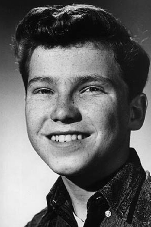 Eddie Hodges as Ally Manetta