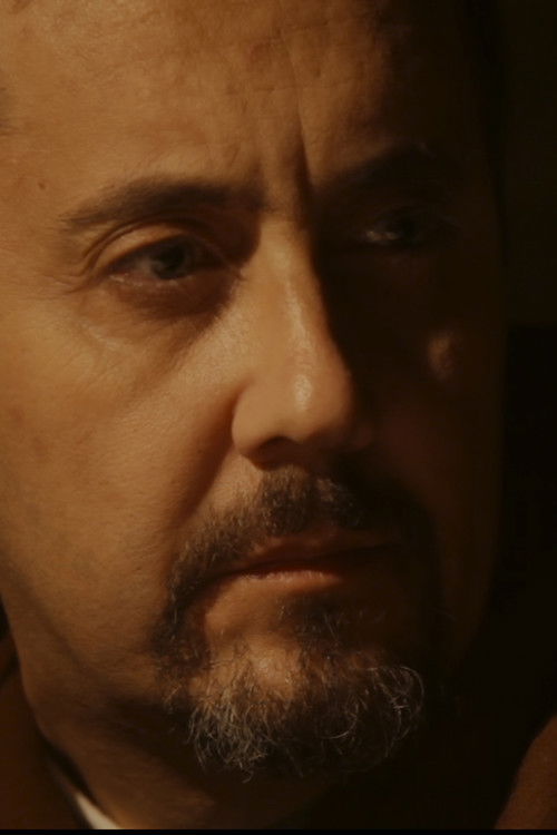 JOSE MANUEL BENITO as BEATO DE LIÉBANA